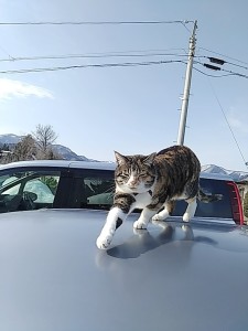 活動的な季節におすすめのシューズ！！
