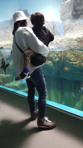 水族館とPATRICKと私