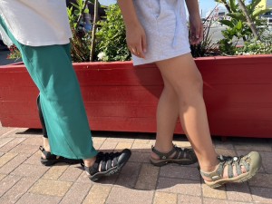 この夏の私の推しサンダル！(The Shoes Stock青森ELM)